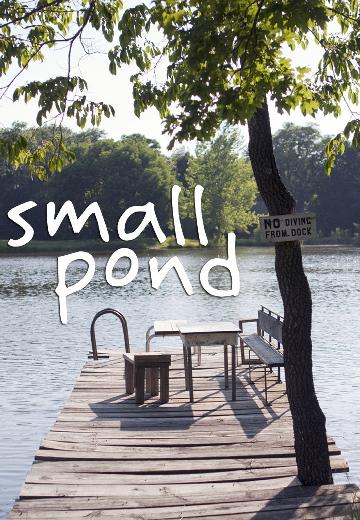 Small Pond poster
