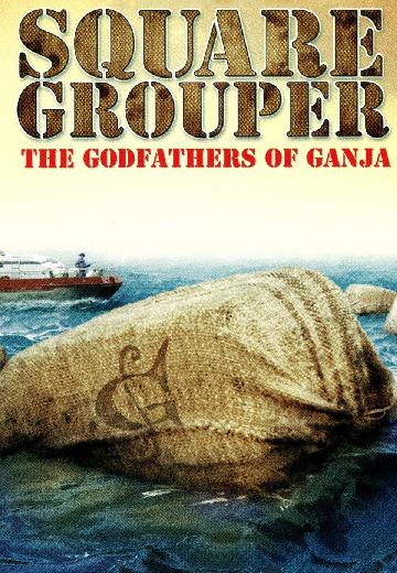 Square Grouper: The Godfathers of Ganja poster