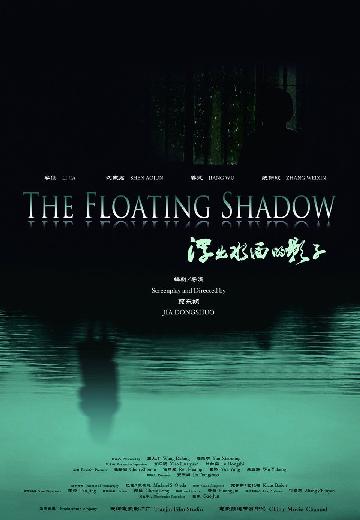 The Floating Shadow poster