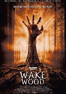 Wake Wood poster