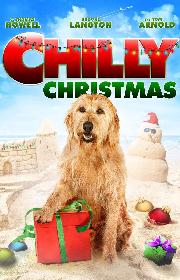 Chilly Christmas poster