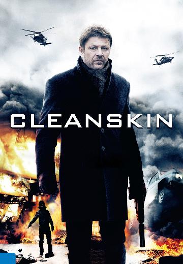 Cleanskin poster