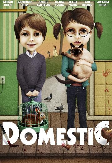 Domestic poster