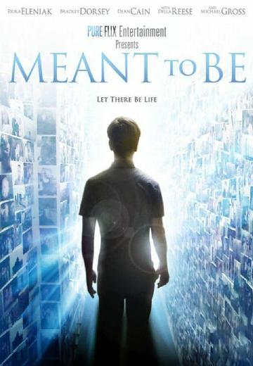 Meant to Be poster