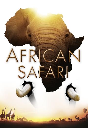 African Safari poster