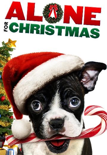 Alone for Christmas poster