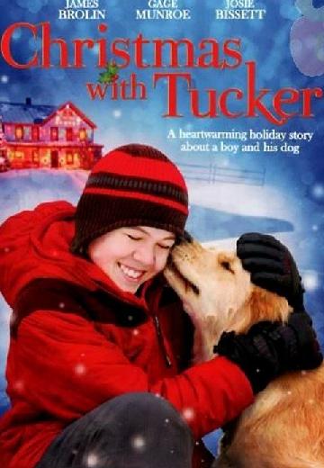Christmas With Tucker poster