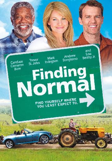 Finding Normal poster