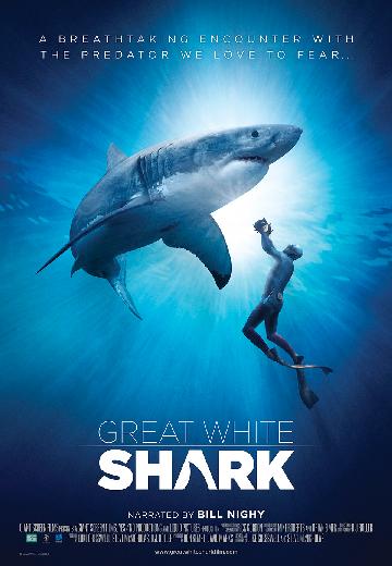 Great White Shark poster
