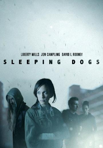 Sleeping Dogs poster