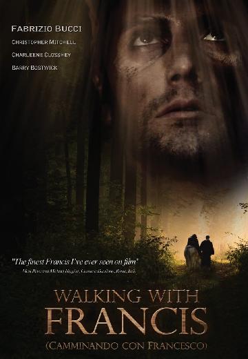 Walking with Francis poster