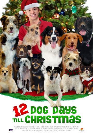12 Dog Days Till Christmas poster
