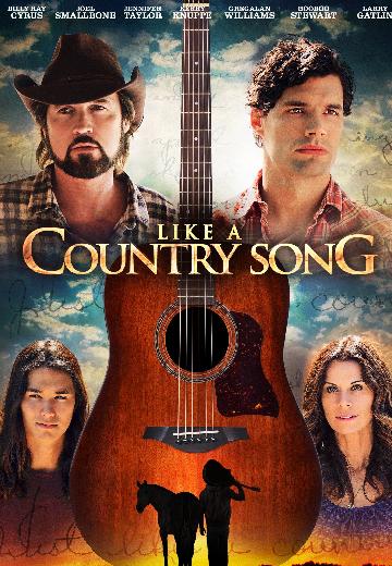 Like a Country Song poster