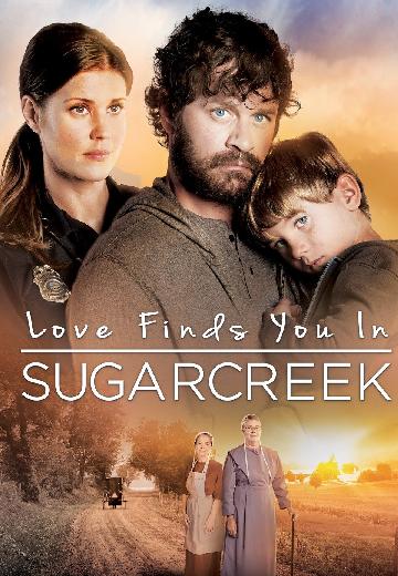 Love Finds You in Sugarcreek poster