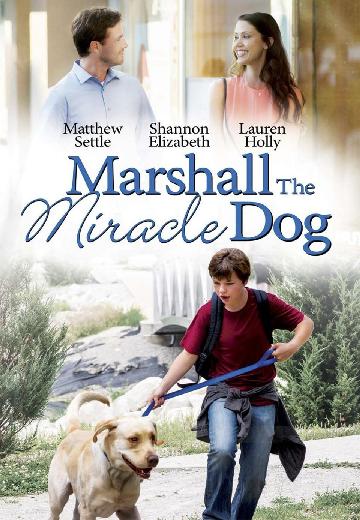Marshall the Miracle Dog poster