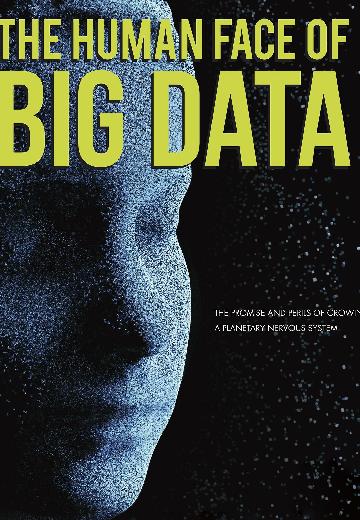 The Human Face of Big Data poster
