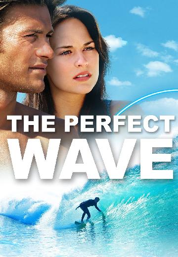 The Perfect Wave poster