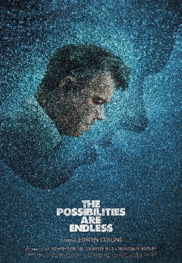 The Possibilities Are Endless poster
