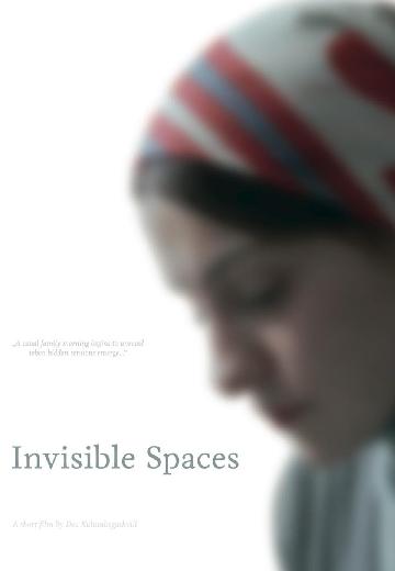 Invisible Spaces poster