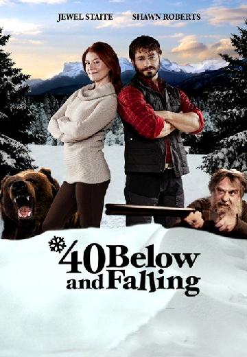 40 Below and Falling poster
