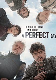 A Perfect Day poster