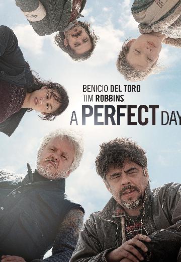 A Perfect Day poster