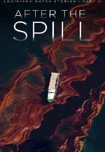 After the Spill poster