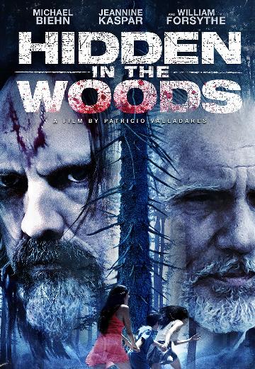 Hidden in the Woods poster