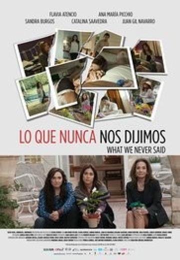 What We Never Said poster