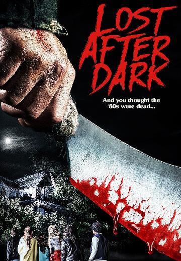 Lost After Dark poster