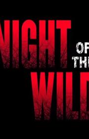 Night of the Wild poster