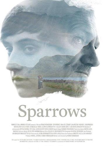 Sparrows poster