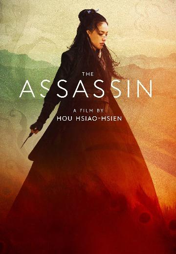 The Assassin poster