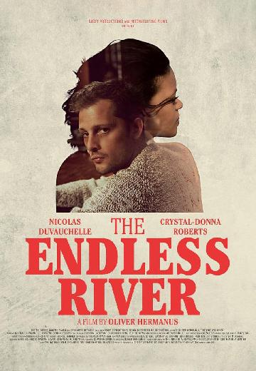 The Endless River poster