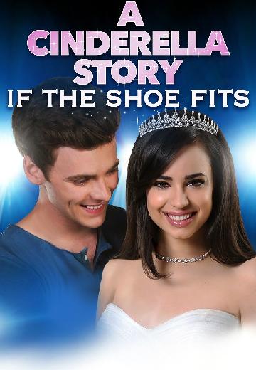 A Cinderella Story: If the Shoe Fits poster