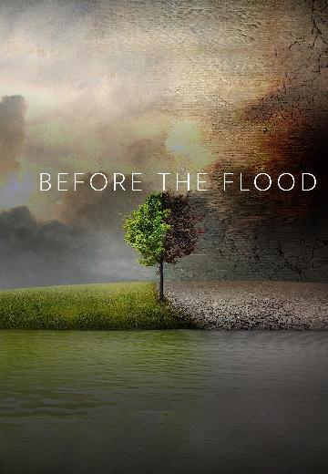 Before the Flood poster