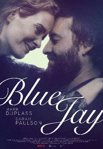 Blue Jay poster