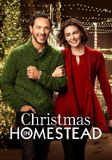 Christmas in Homestead poster