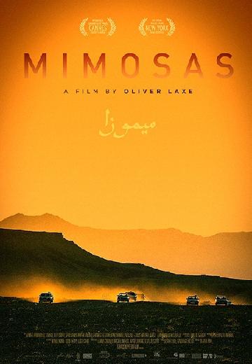 Mimosas poster