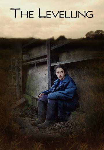 The Levelling poster