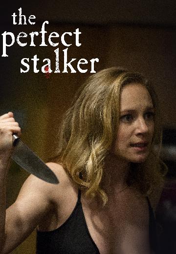 The Perfect Stalker poster
