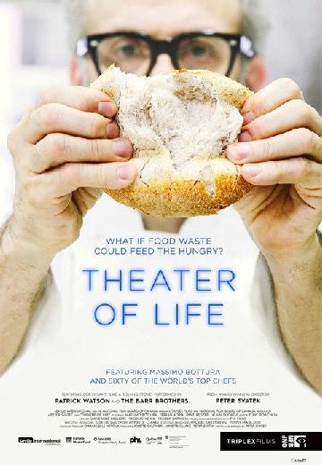 Theater of Life poster