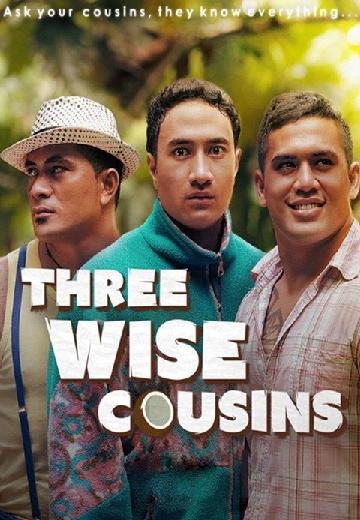 Three Wise Cousins poster