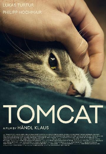 Tomcat poster