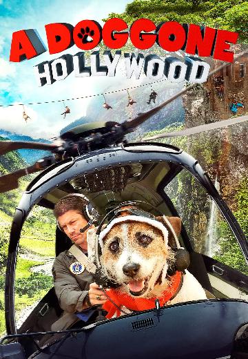 A Doggone Hollywood poster
