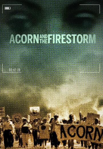 ACORN and the Firestorm poster