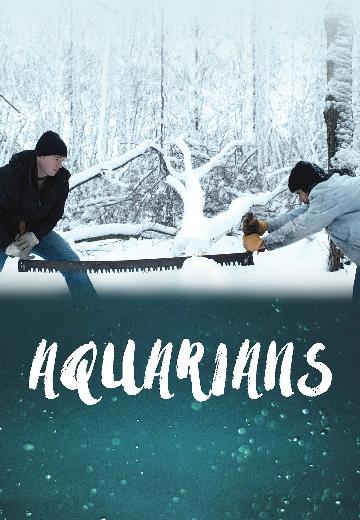 Aquarians poster
