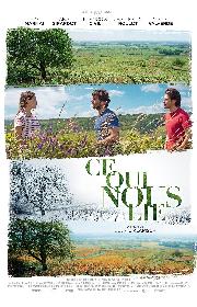 Back to Burgundy poster