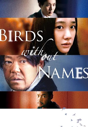 Birds Without Names poster