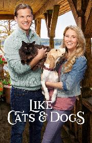Like Cats & Dogs poster